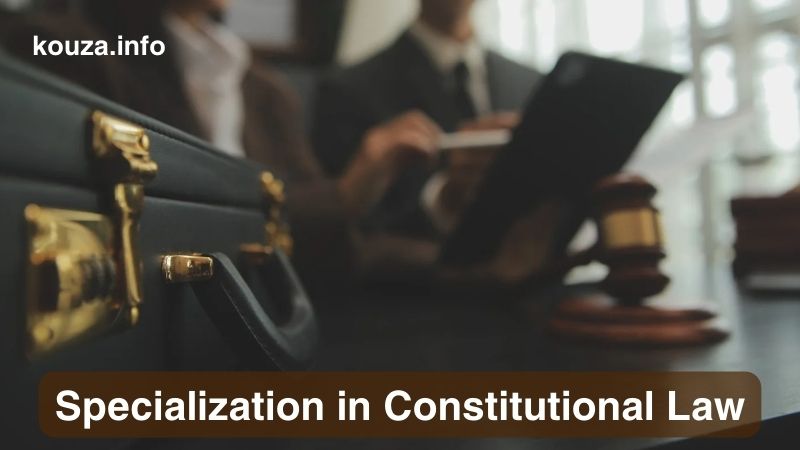 Specialization in Constitutional Law