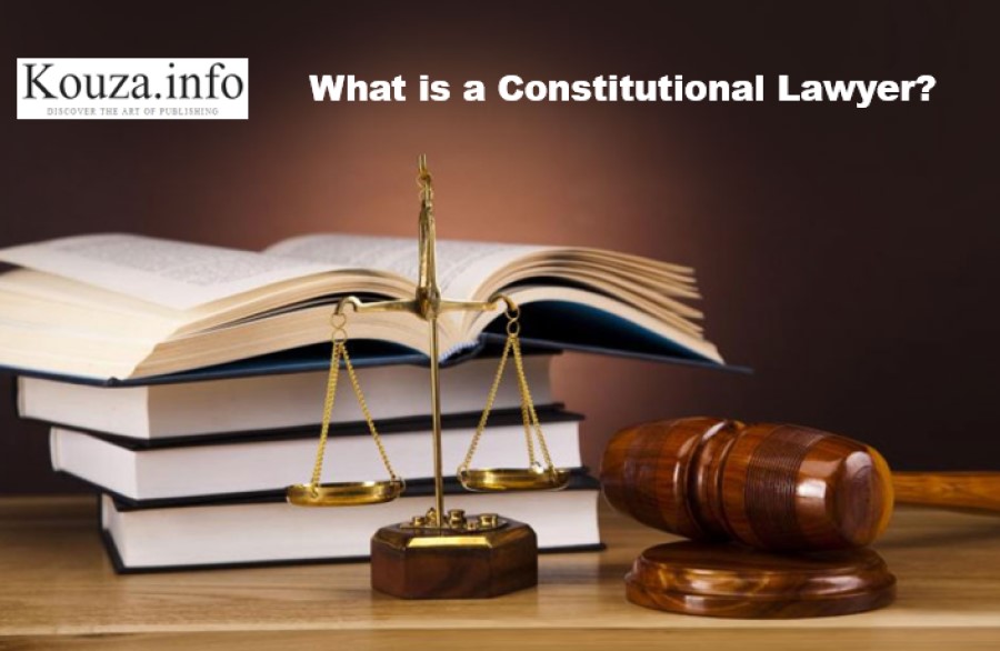 What Is a Constitutional Lawyer and What Do They Do?