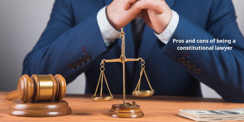 Pros and cons of being a constitutional lawyer