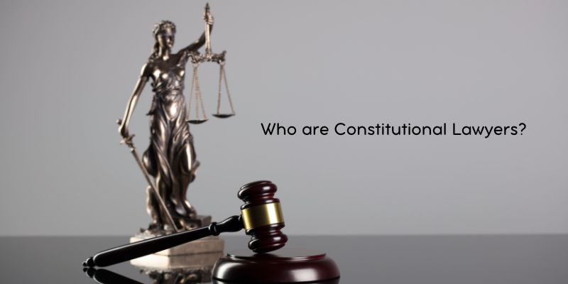 Who are Constitutional Lawyers