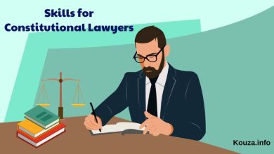 Skills for Constitutional Lawyers