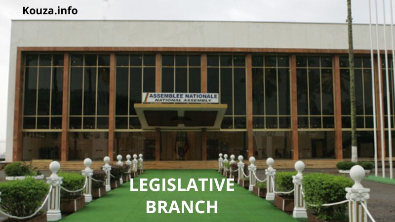 The Legislative Branch of Constitutional Law in Cameroon