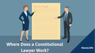 Where Does a Constitutional Lawyer Work?